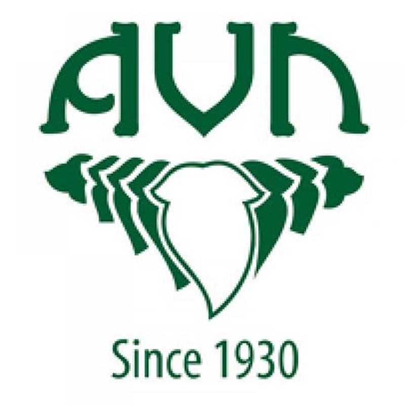 AVN Balarishtam - 450 ml