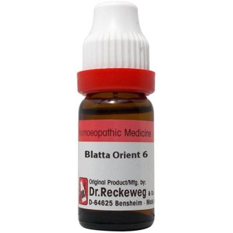Dr. Reckeweg Blatta Orientalis - 11 ml