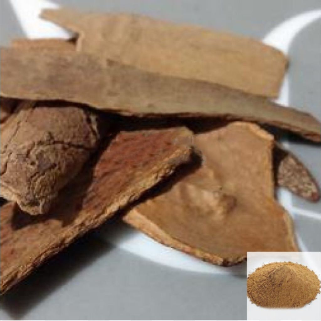 Ilavangapattai / Cinnamon Bark Powder - 50 gm