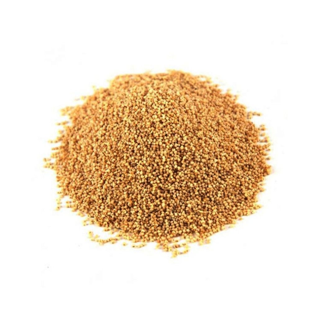 Kasa Kasa / Opium Poppy Powder - 50 gm