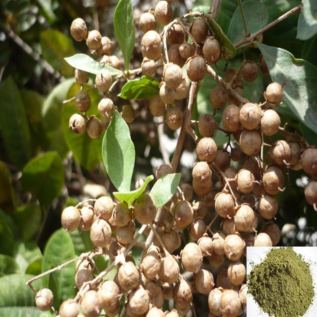 Maruthani Vithai / Henna Seed Powder - 50 gm