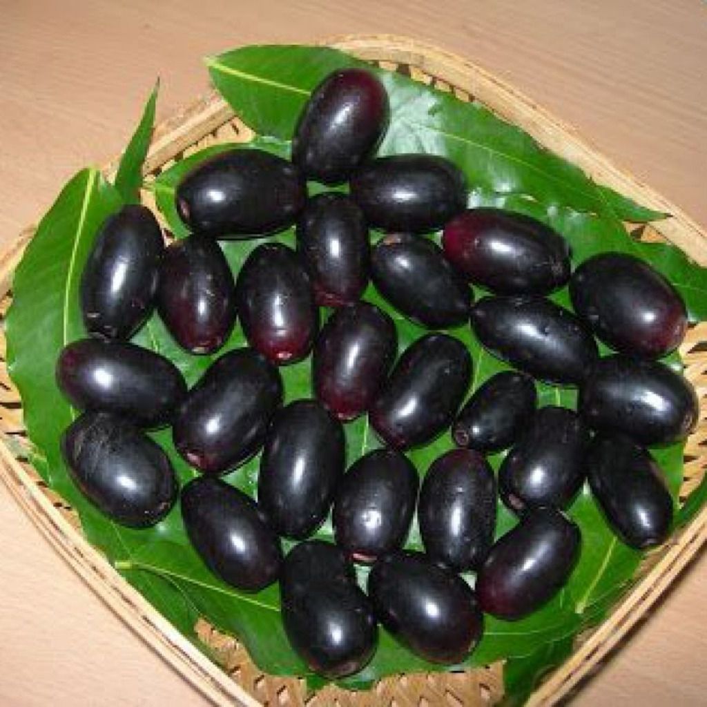 Naval Kottai / Jamblang / Jambolan /Jamun Powder - 50 gm